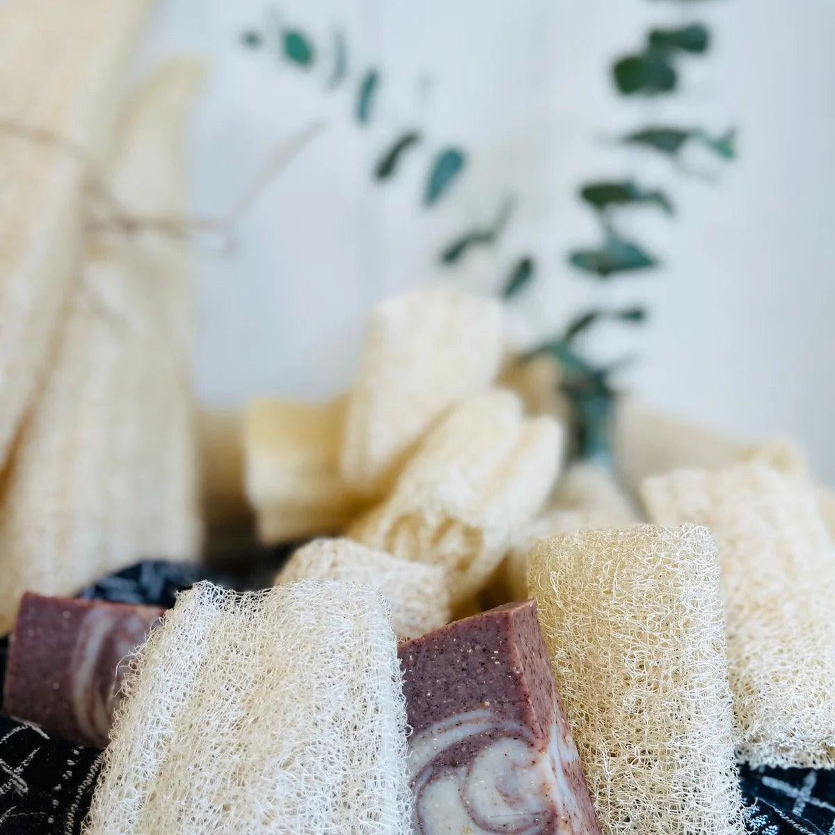 ÉPONGE LUFFA BIO LOCALE - Format Camping - SHOOSH - Boutique Shoosh